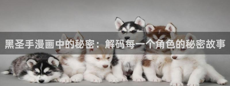 秘密韩漫网站：黑圣手漫画中的秘密：解码每一个角色的秘密故事