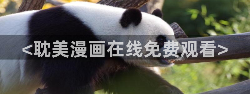 能看韩漫的网址推荐