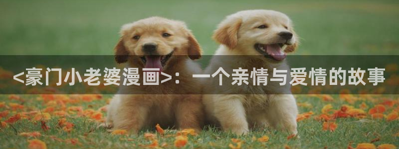 韩漫漫画网免费