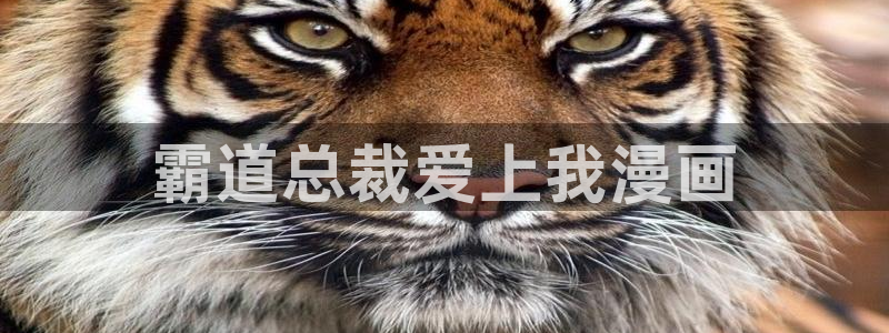 韩漫画免费在线观看