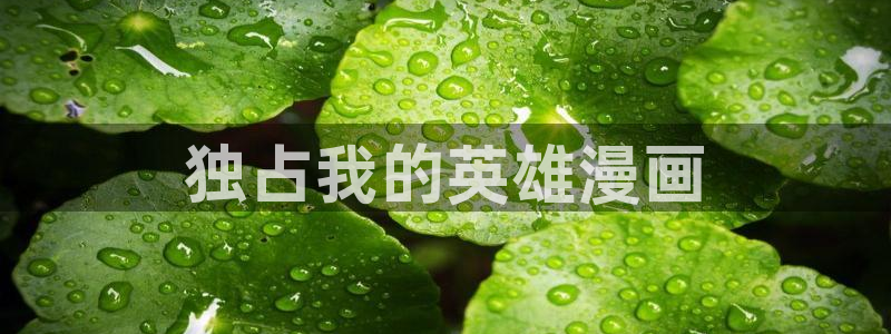 诚信原则韩漫在线看