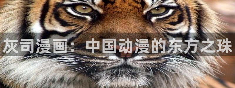 韩漫画在线看免费漫画