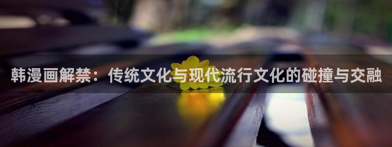 韩漫漫画画免费画漫画：韩漫画解禁：传统文化与现代流行文化的碰撞与交融