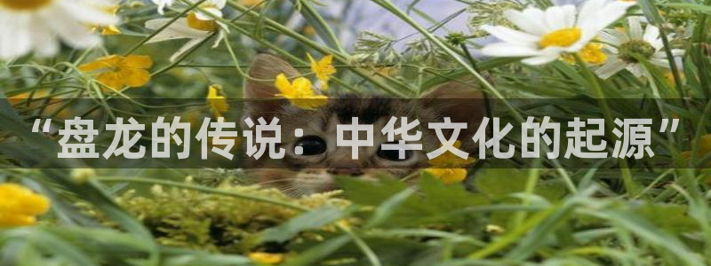 韩漫掠夺婚在线看：“盘龙的传说：中华文化的起源”
