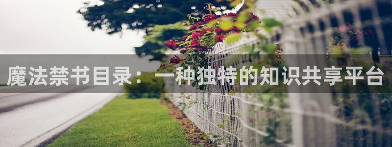 歪歪韩漫在线观看网址：魔法禁书目录：一种独特的知识共享平台