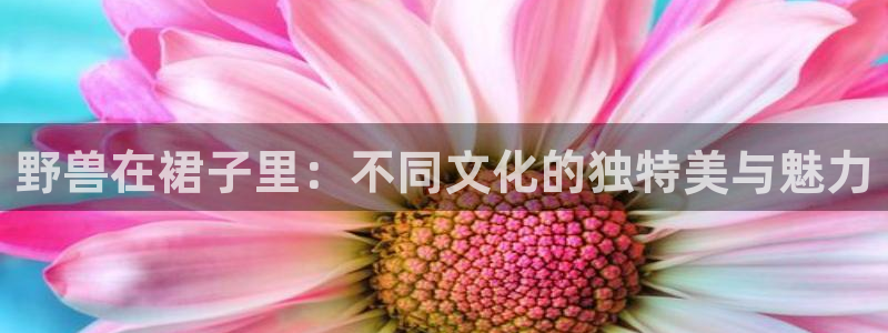 漫画之韩漫