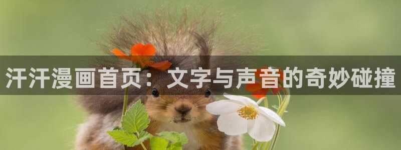 漫蛙韩漫版