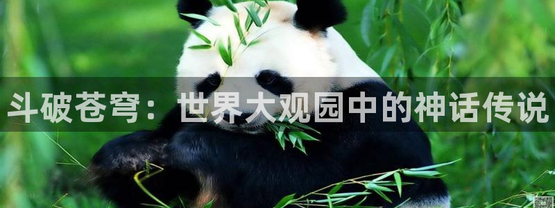 可以免费看韩漫的网站