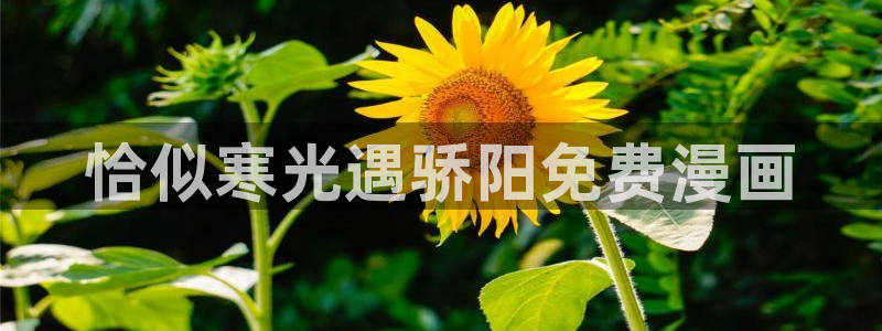 漫画免费韩漫之家